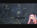 【Bloodborne】ブラボの思い出 - 地底マルチ編 #9