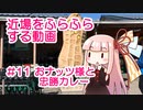 近場をふらふらする動画 #11 おナッツ様と忠勝カレー