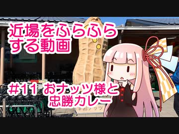 近場をふらふらする動画 #11 おナッツ様と忠勝カレー
