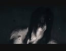 ホモと観る「【記録映像】ヴィリー・タイバーによる宣戦布告」