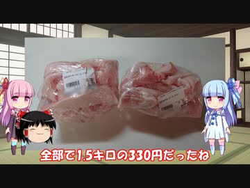 琴葉姉妹と行く釣行記録（暇潰し編part11）