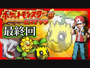 【実況】ヒマナッツが瀕死になったら「現実でひまわりを育てる」縛り（最終回）