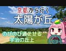 運転初心者でも行ける！太陽が丘【京都から行く初心者ドライブスポット #06】