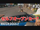 【WATCH DOGS2】ctOSやっぱガバガバじゃん#30(ゲーム実況動画)