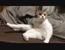 2022/02/10 18:23 うすしお 配信アーカイブ