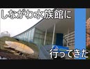 【ゆっくり】しながわ水族館に行ってきた