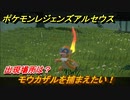 ポケモンレジェンズ アルセウス　モウカザルを捕まえたい！出現場所は？　＃２８７【Pokémon LEGENDS アルセウス】