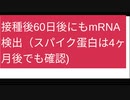 mRNAは数日で分解されると報道されていましたが、接種後60日たっても測定可能なレベルで確認