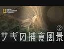 野鳥図鑑2_さぎ