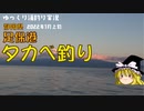 2022年の初動画はタカベ釣り（2022_1月上旬）