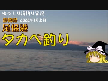 2022年の初動画はタカベ釣り（2022_1月上旬）