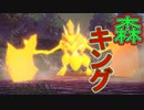 【実況】ここから勝手に始める伝説　その5(VSバサギリ編)【POKEMON LEGENDS アルセウス】