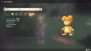 ポケモンレジェンズ アルセウス 色違いブビイ！