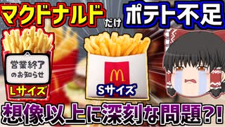 【ゆっくり】「マクドナルドだけポテトが不足する理由」Lサイズは復活しないのか　マクドナルドのポテトの不足理由についてゆっくり解説