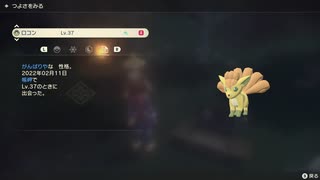 ポケモンレジェンズ アルセウス 色違いロコン！