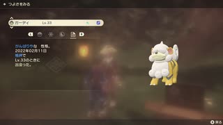 ポケモンレジェンズ アルセウス 色違いガーデイ！