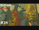 パトリシアちゃんよく見たら厳つい【ゼルダの伝説 ブレスオブザワイルド マスターモード】#34