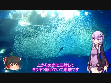 色々足りないうｐ主のゆっくり旅行記　茨城旅行編  第７話