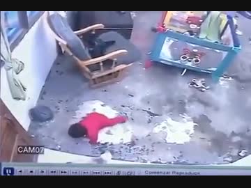 ホモと見る　赤ちゃんが階段から落ちるのを防ぐ猫