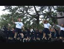 【jkダンス】ミニスカでいろんな曲踊ってみた♪(*‘∀‘)akbとその他メロディー　足　尻　巨乳　乳　ミニ　日本　パン　