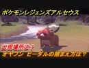 ポケモンレジェンズ アルセウス　オヤブン　ビーダルの捕まえ方は？出現場所は？　＃３７４【Pokémon LEGENDS アルセウス】