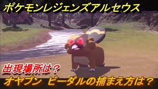 オヤブンさん専用 Carbonoshop Com Mx