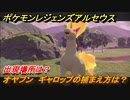 ポケモンレジェンズ アルセウス　オヤブン　ギャロップの捕まえ方は？出現場所は？　＃３８２【Pokémon LEGENDS アルセウス】