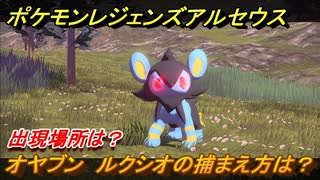 ポケモンレジェンズ アルセウス　オヤブン　ルクシオの捕まえ方は？出現場所は？　＃３８３【Pokémon LEGENDS アルセウス】