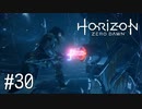 【ゆっくり実況】Horizon Zero Dawn その30