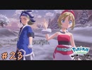 【実況】カップルじゃねーか！【ポケモンレジェンズアルセウス】23