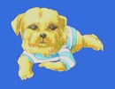 ストライプ犬