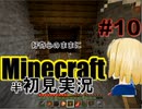 好奇心のままにMinecraftを半初見実況 part10