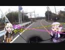 トリシティでどこに行く紀伊半島一周編Part2【ゆかり・あかり車載】