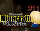 好奇心のままにMinecraftを半初見実況 part11