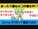 【大喜利】あったら嫌なネコの鳴き声【Twitterの反応】