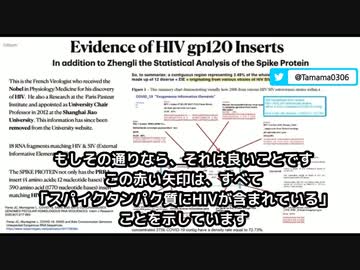 スパイクタンパク質にHIVの遺伝子配列が含まれている可能性
