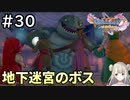 #30【女性実況】ドラゴンクエスト11Sで癒される！地下迷宮のボス(ドラクエ11s)