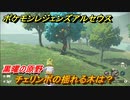 ポケモンレジェンズ アルセウス　チェリンボの揺れる木の場所は？黒曜の原野　＃５２９【Pokémon LEGENDS アルセウス】