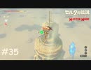 雷の神獣 ヴァ・ナボリス【ゼルダの伝説 ブレスオブザワイルド マスターモード】#35