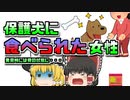 【2002年ロシア】飼い犬10頭に食べられ骨になっていた女性…どうしてこんなことに？【ゆっくり解説】