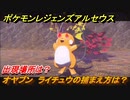 ポケモンレジェンズ アルセウス　オヤブン　ライチュウの捕まえ方は？出現場所は？　＃４０４【Pokémon LEGENDS アルセウス】