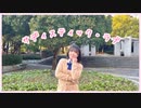 【りのん】サディスティック・ラブ　踊ってみた