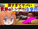 度肝を抜かれるヤバいこと...世界のトンデモ珍事件スペインver【VOICEROID解説】