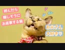 大好きな飼い主に名前呼んでもらえてお返事してしまう猫