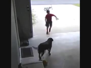 ホモと見る　人ん家の犬をこっそり触りに来た少年