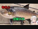［VOICEROID解説］初心者のUMA解説　6項目「ネッシー、タキタロウ」