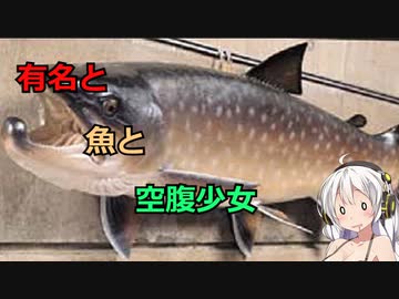 ［VOICEROID解説］初心者のUMA解説　6項目「ネッシー、タキタロウ」