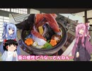 琴葉姉妹と行く釣行記録（車載編part19 13/13）