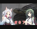 東北姉妹と両爬奇蟲#7 シマヘビ【マウス給餌】