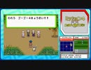 ポケモンレンジャー　フィオレ地方 活動報告書 07